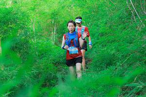 BIB: 
                            <button type="button" onclick="openModal(22096235)" class="btn btn-primary btn-sm float-right btn-popup" data-toggle="modal" data-target=".modal-high-quality">
                        <i class="fas fa-shopping-cart"></i> Add to Cart
                    </button>
                                            <button type="button" onclick="isThisMe(22096235, true)" class="btn btn-success btn-sm float-right btn-popup btn-isme hidden" data-toggle="tooltip" data-placement="bottom" title="นี่คือรูปของคุณใช่ไหม คลิกที่นี่เพื่อเอาเข้าอัลบั้ม">
                        <i class="fas fa-plus"></i> Add to album
                    </button>
                    <button type="button" onclick="isThisMe(22096235, false)" class="btn btn-warning btn-sm float-right btn-popup btn-isnotme hidden">
                        <i class="fas fa-ban"></i> Remove from album
                    </button>